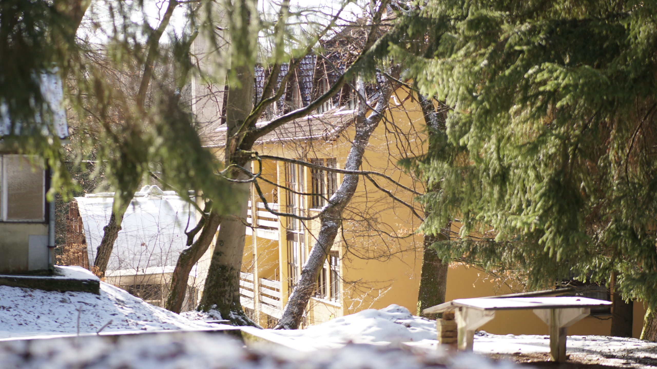 Sárga épület és fenyők a hóban, a hotel környezetében.